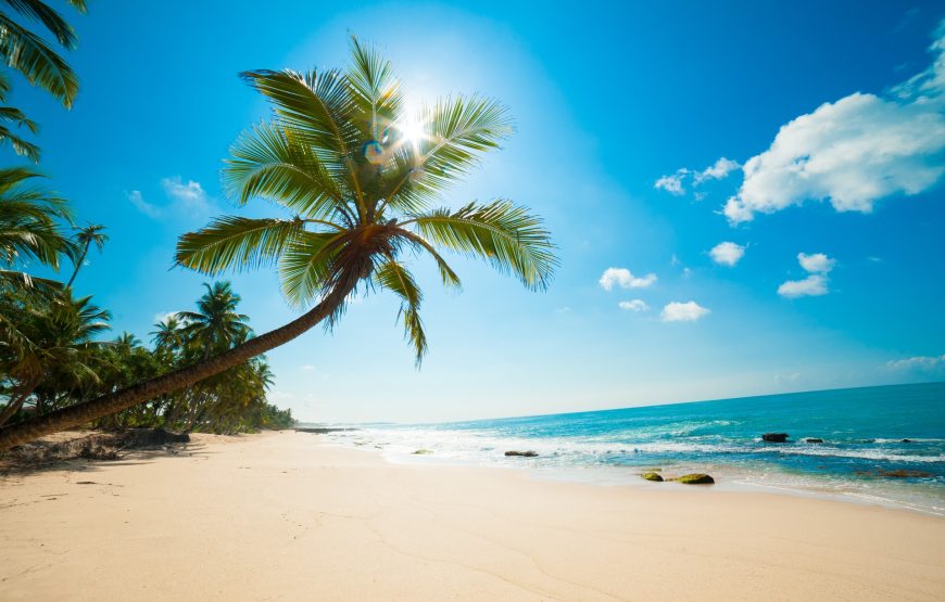 Premium Sri Lanka Tour