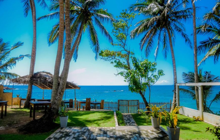 Premium Sri Lanka Tour