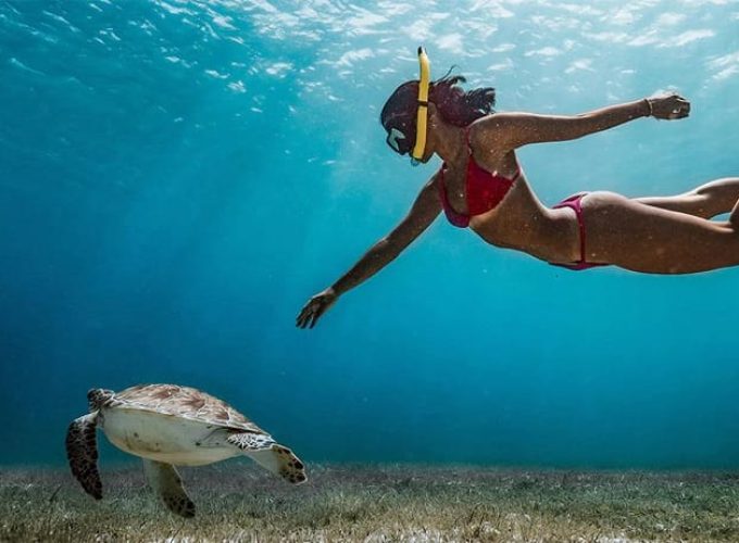 Snorkeling Trip from Polhena Beach, Matara, Sri Lanka